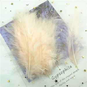 Plūme 50 gab. Vistas spalva 10-15 cm 4-6 collas tītara spalvas, pūkainas spalvas, DIY, amatniecības dekorācijas, kāzu ballīšu dekorācijas