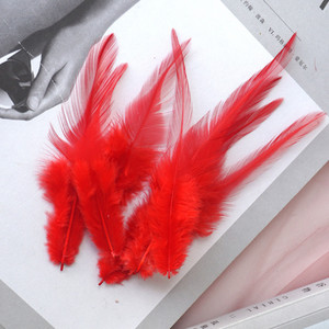 10-15cm Baltā gaiļa spalva Dabīgās vistas spalvas Dekoratīvie Mušu Siešanas Aksesuāri Amatniecība rokdarbiem un amatniecības derses