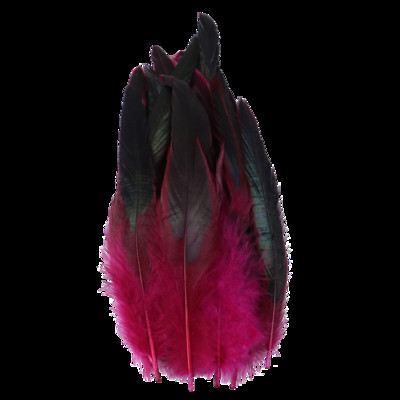 15-20 CM Dabīgo fazānu spalvu amatniecība, DIY karnevāla piederumi