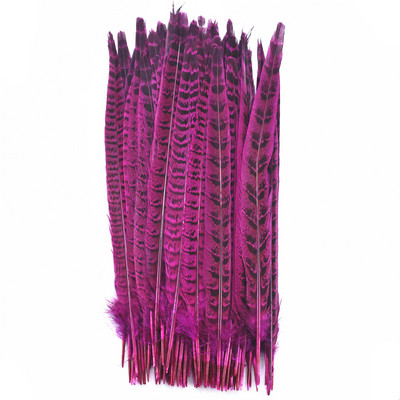 10 gab. Fazānu astes spalvas amatniecībai Ziemassvētku eglīšu rotājumi DIY matu aksesuāri kāzu centrālais radošais brīvā laika pavadīšanas stils