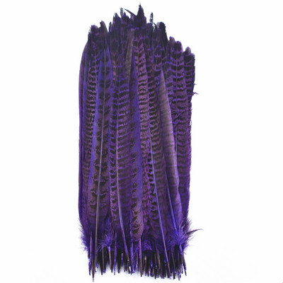 10 gab. Fazānu astes spalvas amatniecībai Ziemassvētku eglīšu rotājumi DIY matu aksesuāri kāzu centrālais radošais brīvā laika pavadīšanas stils