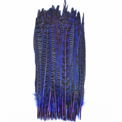 10 gab. Fazānu astes spalvas amatniecībai Ziemassvētku eglīšu rotājumi DIY matu aksesuāri kāzu centrālais radošais brīvā laika pavadīšanas stils