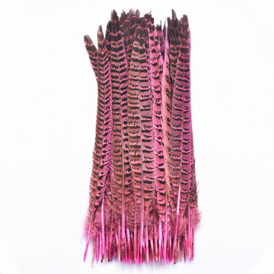 10 gab. Fazānu astes spalvas amatniecībai Ziemassvētku eglīšu rotājumi DIY matu aksesuāri kāzu centrālais radošais brīvā laika pavadīšanas stils