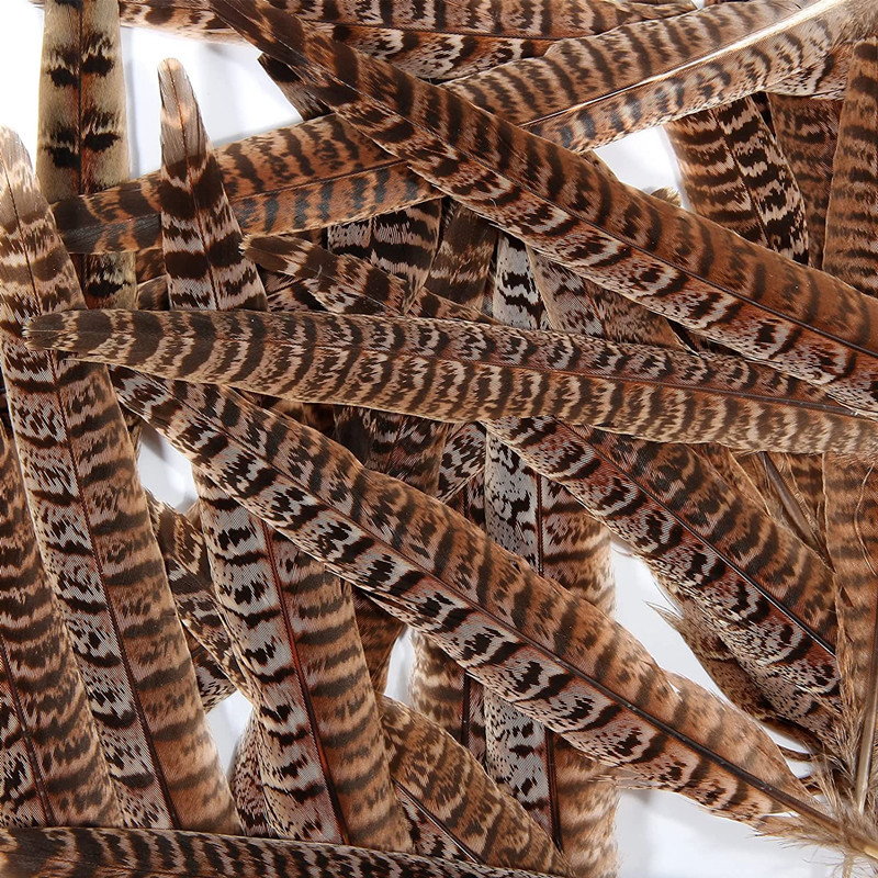 10 gab. Fazānu astes spalvas amatniecībai Ziemassvētku eglīšu rotājumi DIY matu aksesuāri kāzu centrālais radošais brīvā laika pavadīšanas stils