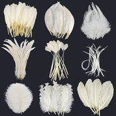 20 vnt. balto fazano plunksnos amatams Natūralios stručio plunksnos žąsies kalakutienos plunksnos svajonių gaudyklės priedai „pasidaryk pats“ vestuvių dekoras