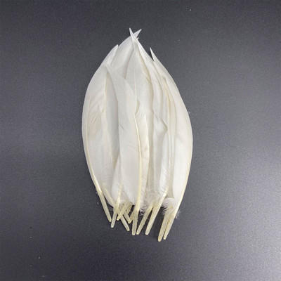 20 vnt. balto fazano plunksnos amatams Natūralios stručio plunksnos žąsies kalakutienos plunksnos svajonių gaudyklės priedai „pasidaryk pats“ vestuvių dekoras