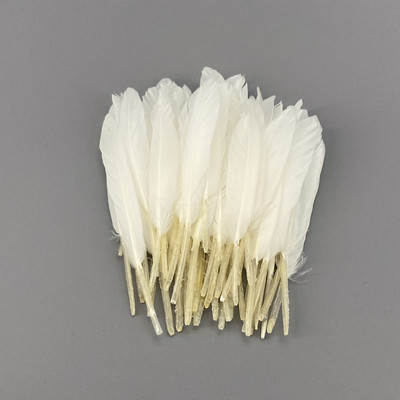 20 vnt. balto fazano plunksnos amatams Natūralios stručio plunksnos žąsies kalakutienos plunksnos svajonių gaudyklės priedai „pasidaryk pats“ vestuvių dekoras