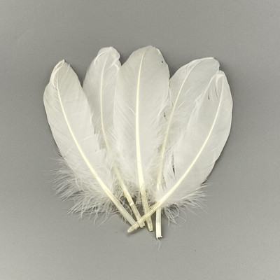 20 vnt. balto fazano plunksnos amatams Natūralios stručio plunksnos žąsies kalakutienos plunksnos svajonių gaudyklės priedai „pasidaryk pats“ vestuvių dekoras