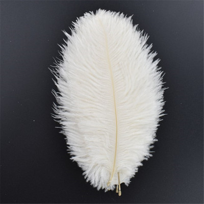20 vnt. balto fazano plunksnos amatams Natūralios stručio plunksnos žąsies kalakutienos plunksnos svajonių gaudyklės priedai „pasidaryk pats“ vestuvių dekoras