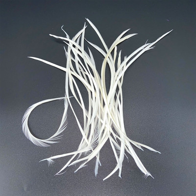 20 vnt. balto fazano plunksnos amatams Natūralios stručio plunksnos žąsies kalakutienos plunksnos svajonių gaudyklės priedai „pasidaryk pats“ vestuvių dekoras