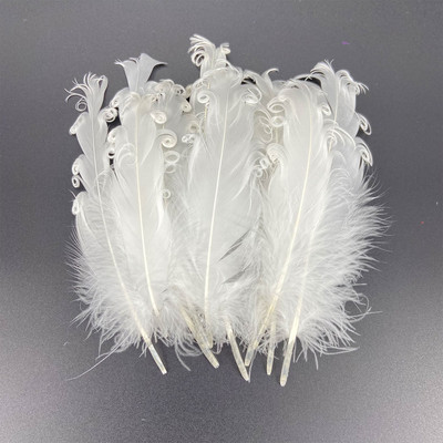 20 vnt. balto fazano plunksnos amatams Natūralios stručio plunksnos žąsies kalakutienos plunksnos svajonių gaudyklės priedai „pasidaryk pats“ vestuvių dekoras