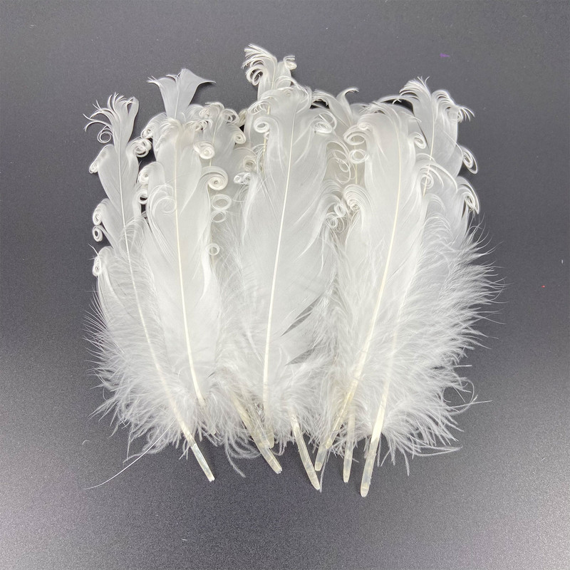 20 vnt. balto fazano plunksnos amatams Natūralios stručio plunksnos žąsies kalakutienos plunksnos svajonių gaudyklės priedai „pasidaryk pats“ vestuvių dekoras