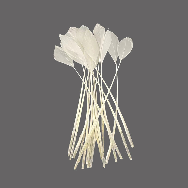 20 vnt. balto fazano plunksnos amatams Natūralios stručio plunksnos žąsies kalakutienos plunksnos svajonių gaudyklės priedai „pasidaryk pats“ vestuvių dekoras