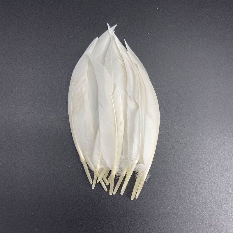 20 vnt. balto fazano plunksnos amatams Natūralios stručio plunksnos žąsies kalakutienos plunksnos svajonių gaudyklės priedai „pasidaryk pats“ vestuvių dekoras