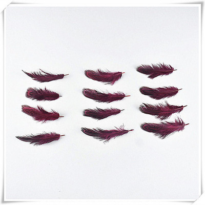 20db Fácán csirke toll barkács asztaldísz kézműves kellékek esküvői középső haj karneváli kiegészítők pulyka tollak