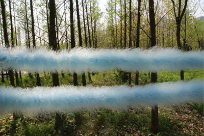 20 grammos bolyhos tollas boa puha, teljes pulyka tollazatú csíkos esküvői parti dekoráció jelmez kollokáció fesztivál előadás