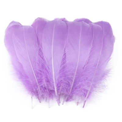 50Gb Dabīgas mīkstas zosu spalvas Amatniecība Kāzu mājas dekorēšana Rotaslietas izgatavošana 13-18cm garas