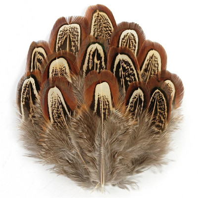 100 db/tétel Színes fácán gyűrűs toll natúr 4-8cm/1.6-3.2" Feather Trim Barkács kiegészítők Plumes Dekoráció kézművesekhez