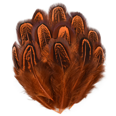 100 db/tétel Színes fácán gyűrűs toll natúr 4-8cm/1.6-3.2" Feather Trim Barkács kiegészítők Plumes Dekoráció kézművesekhez