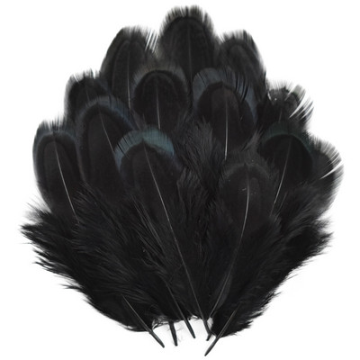100 db/tétel Színes fácán gyűrűs toll natúr 4-8cm/1.6-3.2" Feather Trim Barkács kiegészítők Plumes Dekoráció kézművesekhez