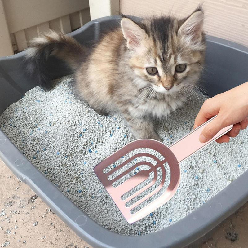 Kaķu pakaišu lāpsta plastmasas kaķu pakaišu lāpsta ar pamatnes grozu Pašattīroša kaķu pakaišu kastes lāpsta kaķēnu tualetes tīrīšanas rīki