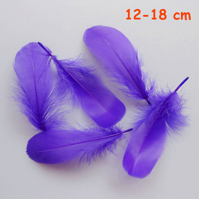 20 gab. 16 veidu purpursarkanas krāsas fazāna astes vistas spalvas zosu gaiļa svārki ballītei DIY amatniecības dekorēšanai strausa spalva