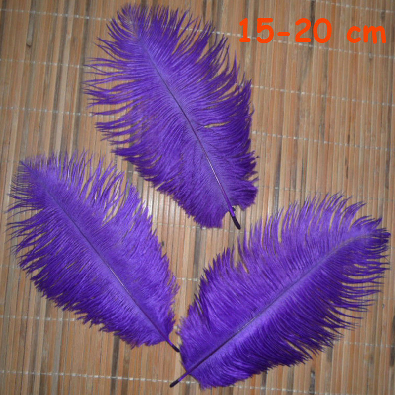 20 gab. 16 veidu purpursarkanas krāsas fazāna astes vistas spalvas zosu gaiļa svārki ballītei DIY amatniecības dekorēšanai strausa spalva