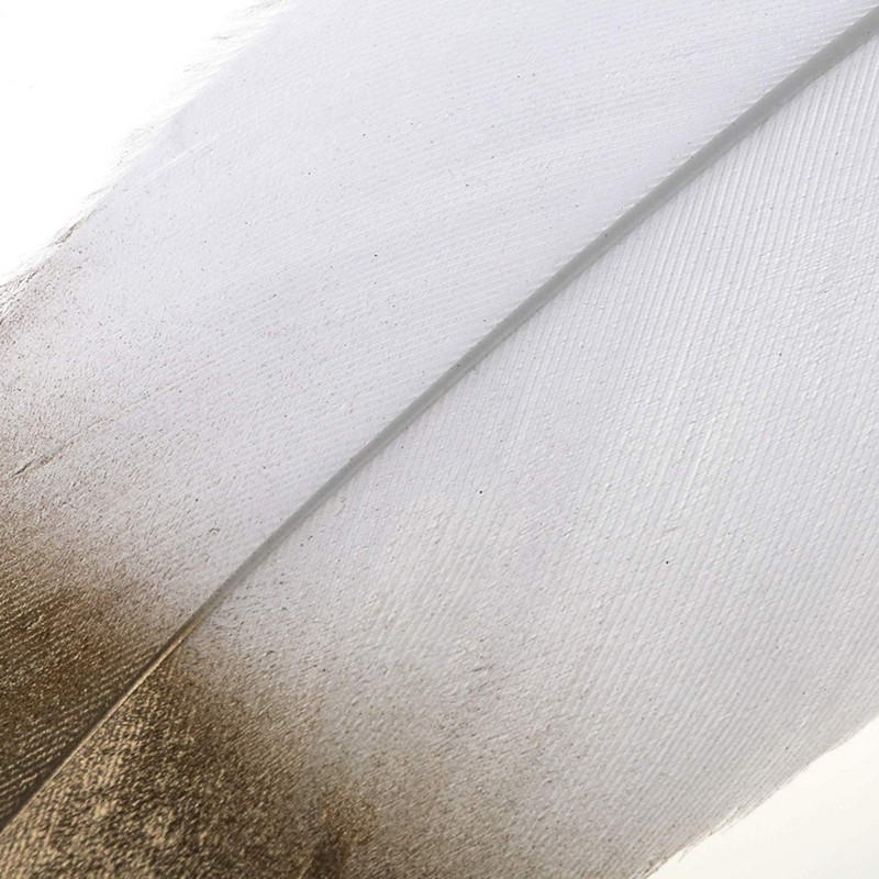 10 db natúr vörös arany toll esküvői tolla kézműves munkákhoz barkácsolás színes ezüst lúdtoll party kiegészítők dekoráció 15-20cm