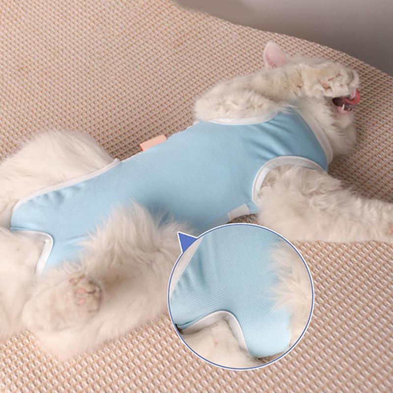 Mājdzīvnieku atveseļošanas uzvalks Apburošs e-apkakles alternatīvs kaķu sterilizācijas uzvalks 4 izmēri kaķu atveseļošanai