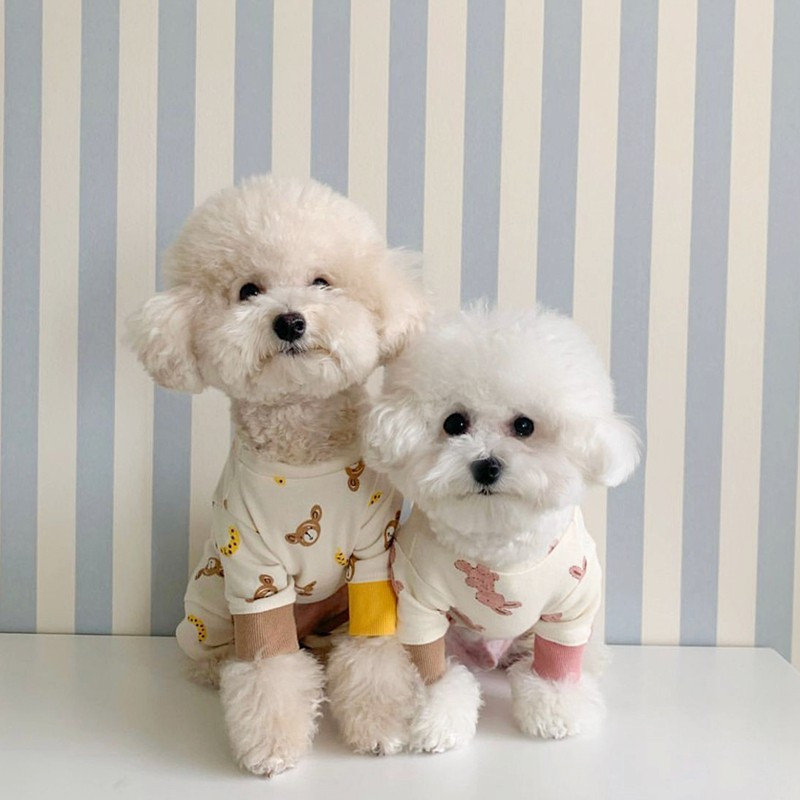 Vasaras mājdzīvnieku suņu kombinezoni pērtiķu trusis raksts suņiem Apģērbi Kokvilnas bikšturi Četrkāja Jaka Mājdzīvnieku apģērbi Jorkšīra