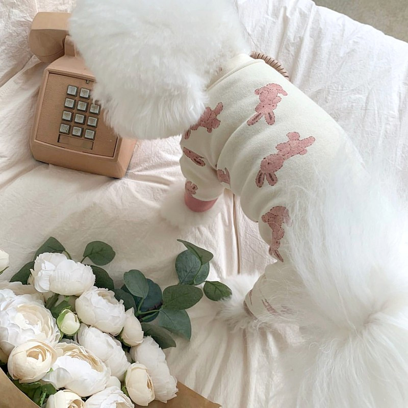 Vasaras mājdzīvnieku suņu kombinezoni pērtiķu trusis raksts suņiem Apģērbi Kokvilnas bikšturi Četrkāja Jaka Mājdzīvnieku apģērbi Jorkšīra