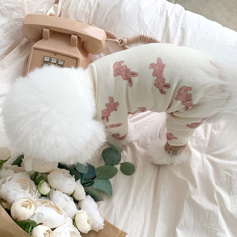 Vasaras mājdzīvnieku suņu kombinezoni pērtiķu trusis raksts suņiem Apģērbi Kokvilnas bikšturi Četrkāja Jaka Mājdzīvnieku apģērbi Jorkšīra