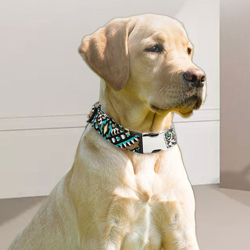 Kutya nyakörv személyre szabott kölyök nyakörv ingyenes gravírozott kutyanév Állítható macska nyaklánc Nyomtatott kisállat nyakpánt Chihuahua kisállat kellékek