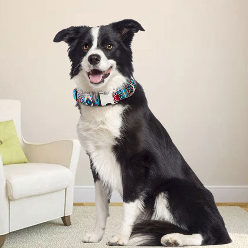 Kutya nyakörv személyre szabott kölyök nyakörv ingyenes gravírozott kutyanév Állítható macska nyaklánc Nyomtatott kisállat nyakpánt Chihuahua kisállat kellékek
