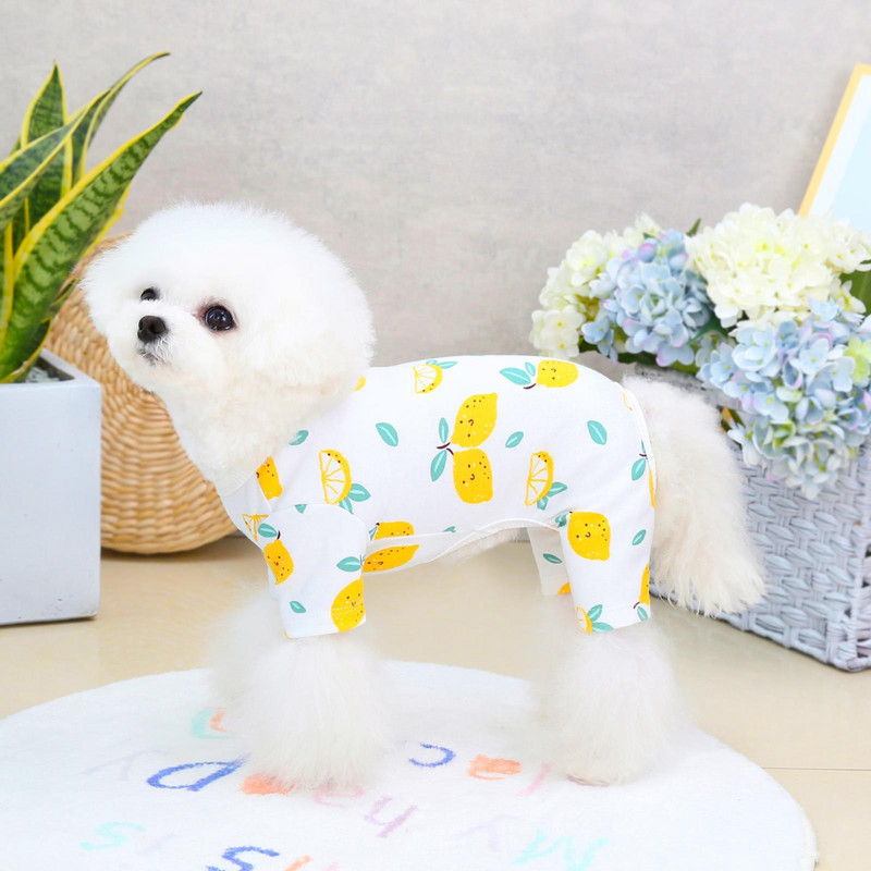 Suņu apģērbi 2022. gads. Jauni mājdzīvnieku apģērbi Suņu rotaļu apģērbi Mājdzīvnieku apģērbi Četru kāju apģērbi Kokvilnas Pavasara Vasaras Suņu Apģērbi