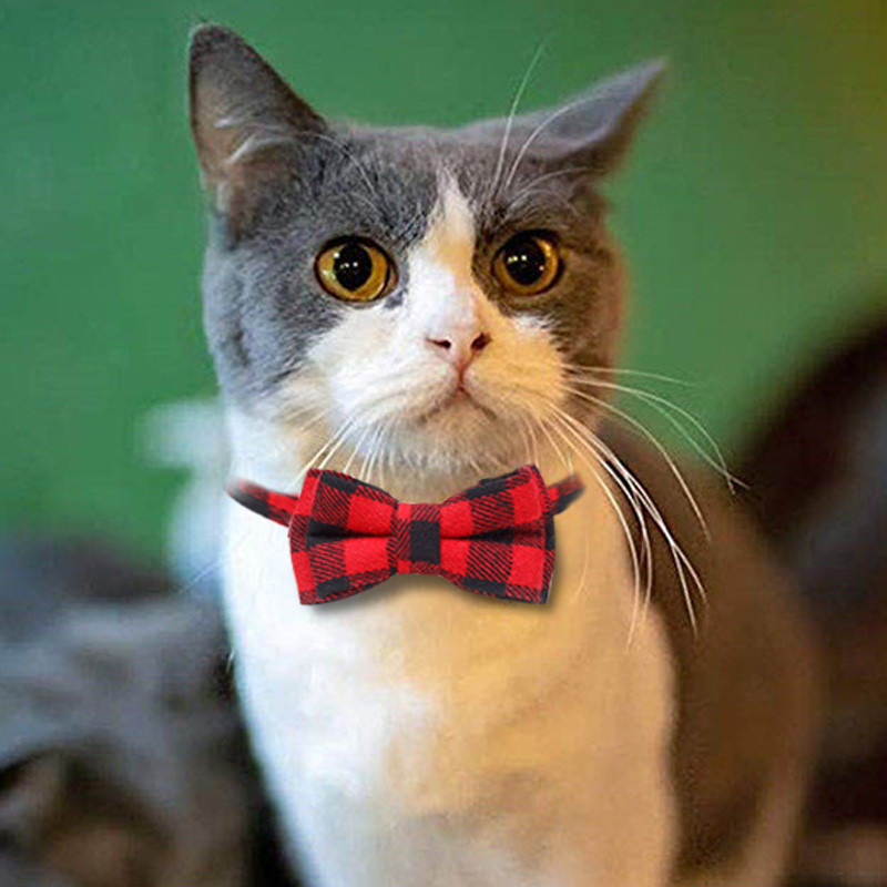Jauka rūtainā kaķa kakla siksna Maza suņa loka kaklasiksna Bowknot kaķu kaklasiksnas ar zvaniņu kucēna kaķēna čivavas mājdzīvniekiem
