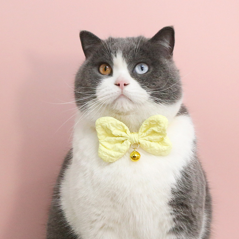 Ogrlica za pse Izvrsna privlačna ogrlica za mačke Mekana ogrlica za kućne ljubimce Udobna ogrlica za kućne ljubimce Pas mačka Traka za vrat s mašnom Potrepštine za kućne ljubimce