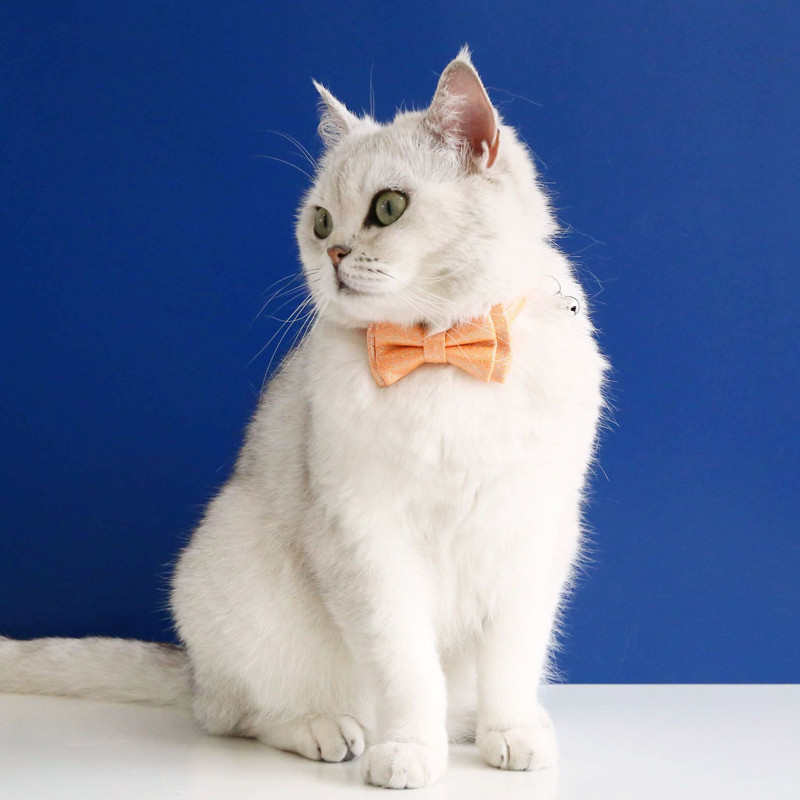 Candy Színes flitterek Háziállatok Macskanyakörv haranggal állítható masnis cica nyaklánc Biztonsági csat kiskutya Chihuahua csokornyakkendő Kiegészítők