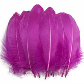 Nature Purple Red Goose Nagoire Feathers for craft plumes 5-7 inch/13-18CM DIY Nakit Odjevni dodaci Vjenčani ukrasi