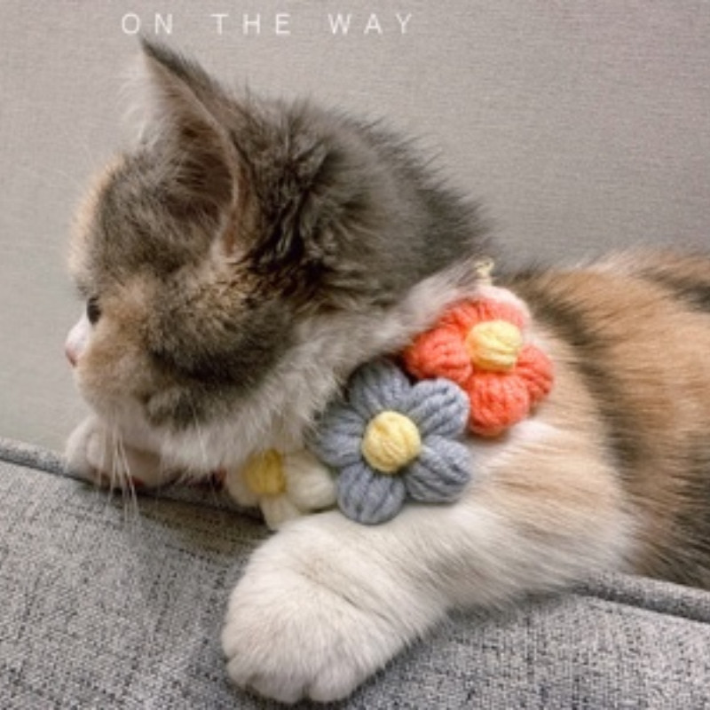 Kisállat kézzel készített szőtt nyakörv Szerelem virág nyaklánc macska kutyának Aranyos ékszerek dekoratív kisállat nyakörv Kisállat kiegészítők