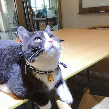 Κολάρα για γάτες ιαπωνικού στυλ Shiba Κολάρα για κατοικίδια Κολάρα γάτας σκύλου με αξεσουάρ καμπάνα για κολιέ Chihuahua με κρεμαστό κόσμημα για γάτες