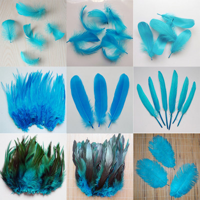 20 Pcs 11 Kinds Sky Blue Pheasant Tail Chicken Feathers Goose Rooster Plumas For DIY Crafts Headdress Decoration Ostrich Feather