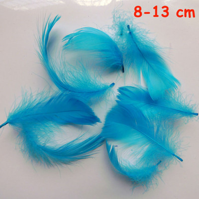 20 vnt. 11 rūšių dangaus mėlynumo fazano uodega vištienos plunksnos žąsies gaidžio slyvos, skirtos „pasidaryk pats“ amatams, galvos apdangalo dekoravimui stručio plunksna