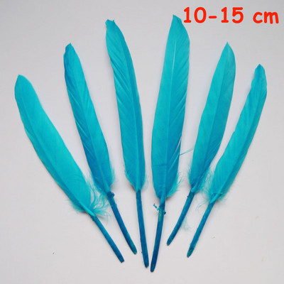 20 vnt. 11 rūšių dangaus mėlynumo fazano uodega vištienos plunksnos žąsies gaidžio slyvos, skirtos „pasidaryk pats“ amatams, galvos apdangalo dekoravimui stručio plunksna