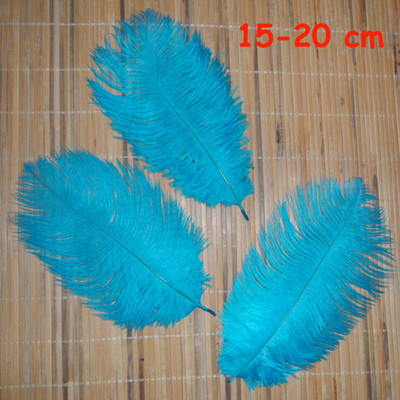 20 vnt. 11 rūšių dangaus mėlynumo fazano uodega vištienos plunksnos žąsies gaidžio slyvos, skirtos „pasidaryk pats“ amatams, galvos apdangalo dekoravimui stručio plunksna