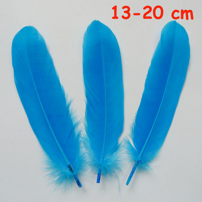 20 vnt. 11 rūšių dangaus mėlynumo fazano uodega vištienos plunksnos žąsies gaidžio slyvos, skirtos „pasidaryk pats“ amatams, galvos apdangalo dekoravimui stručio plunksna