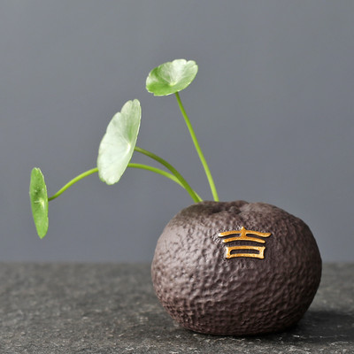 Radoša purpura māla tēja mājdzīvnieku pirkstiem mini puķu pods hidroponiski augi dārza pundurkociņš rotājumi Boutique tējas servīzes dekorēšana