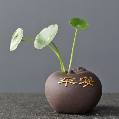 Radoša purpura māla tēja mājdzīvnieku pirkstiem mini puķu pods hidroponiski augi dārza pundurkociņš rotājumi Boutique tējas servīzes dekorēšana