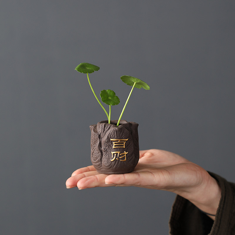 Radoša purpura māla tēja mājdzīvnieku pirkstiem mini puķu pods hidroponiski augi dārza pundurkociņš rotājumi Boutique tējas servīzes dekorēšana