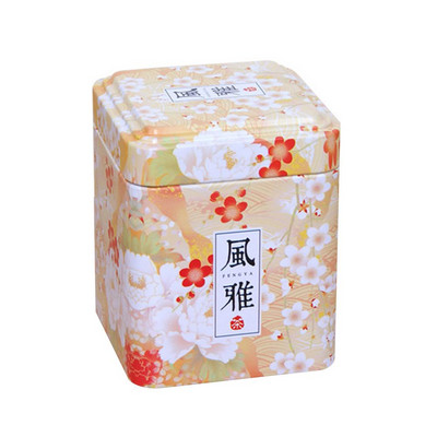 Mini skardinė laikymo dėžutė uždaryta arbata Caddy mažas kvadratinis kavos indelis arbatos lapeliai talpyklos skardinės mažos skardinės prieskonių laikymo dėžutės